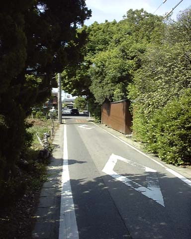  木のトンネル(岩倉市石仏町) meieki photo viewer